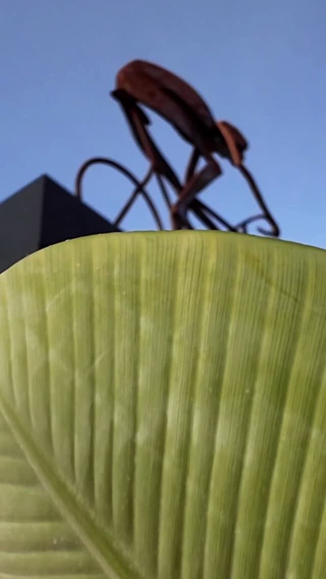 Instagram post from marinabeach38. This post is in position 2.